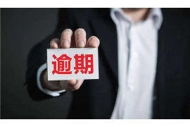 隆阳隆阳的要账公司在催收过程中的策略和技巧有哪些？